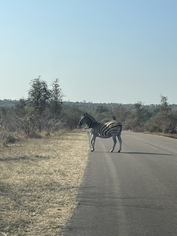 Kruger National Park, South Africa